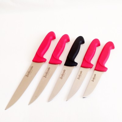 Bıçakcızade Plastik Saplı Bursa Bıçak 5li Set